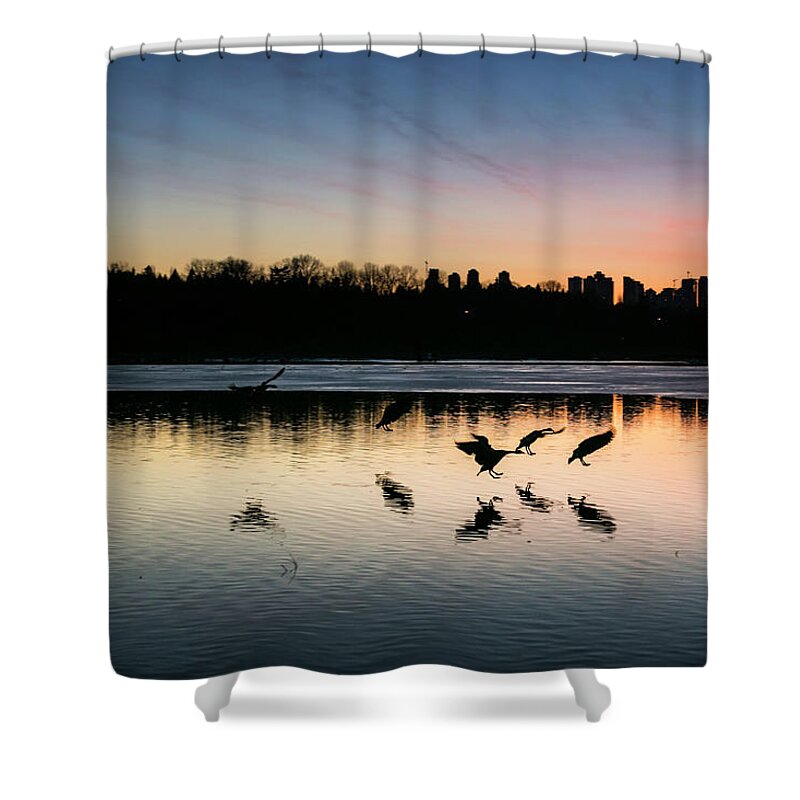 Ducks Shower Curtain featuring the photograph Not Just Three by Monte Arnold