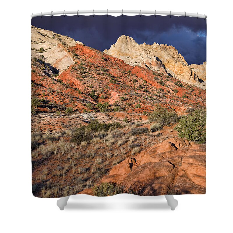 Desert Landscapes Shower Curtain featuring the photograph Notom Morning by Kathleen Bishop