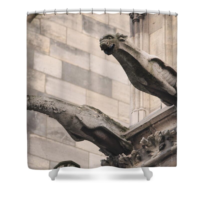Notre Dame Cathedral Gargoyles Shower Curtain featuring the photograph Notre Dame Cathedral gargoyles by Christopher J Kirby