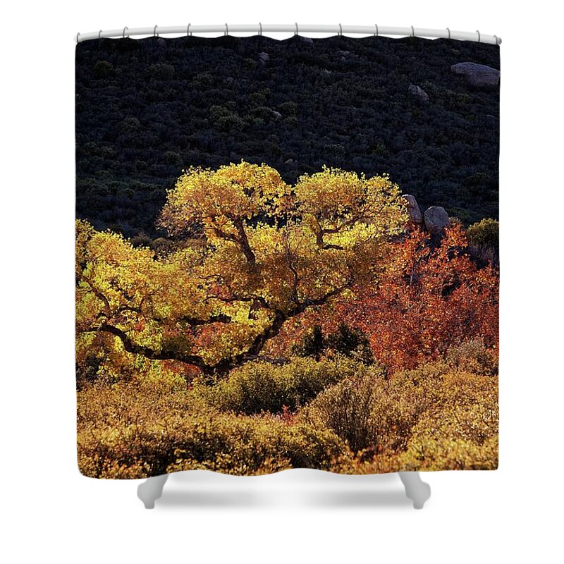 Fall Shower Curtain featuring the photograph November in Arizona by Ron Chilston
