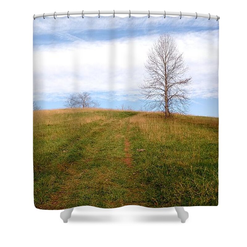 Landscape Shower Curtain featuring the photograph November Morning by Anita Adams