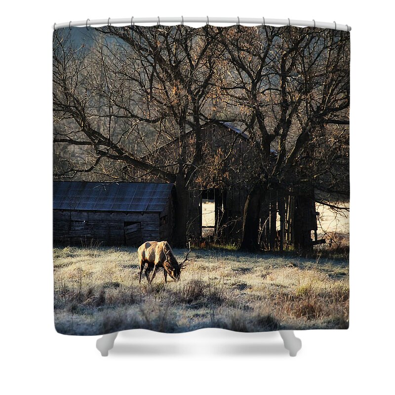 Elk Shower Curtain featuring the photograph November Sunrise by Michael Dougherty