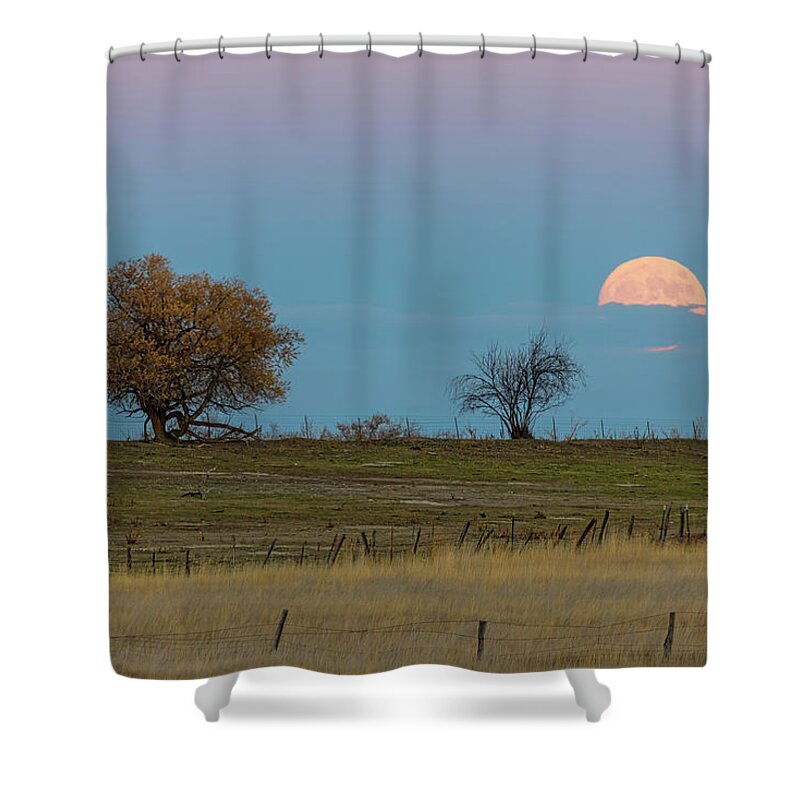 Moon Shower Curtain featuring the photograph November Supermoon Rising by James BO Insogna