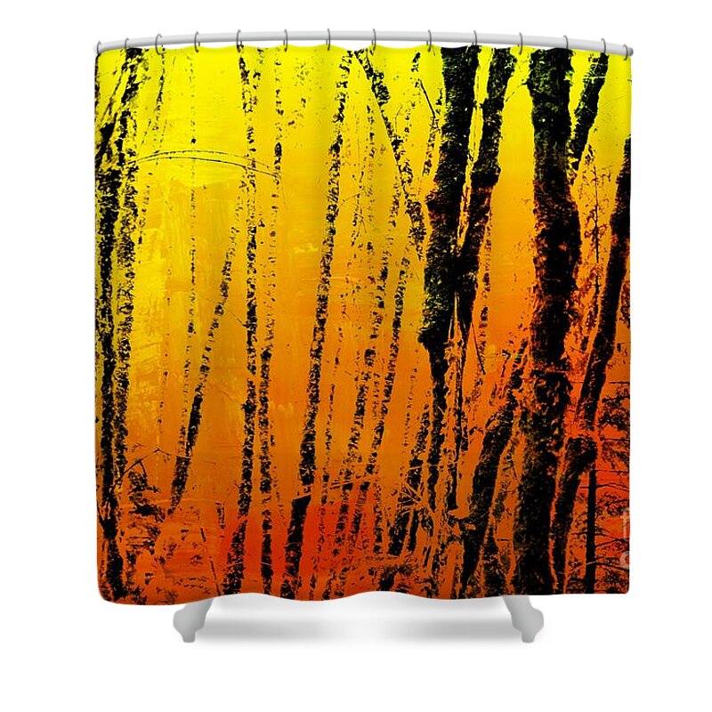 Trees Shower Curtain featuring the photograph November Woods by Sheila Ping