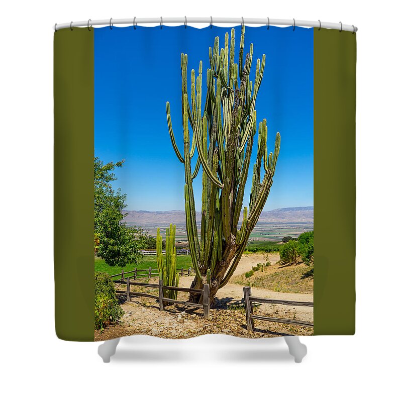 California Shower Curtain featuring the photograph Now That's a Cactus by Derek Dean