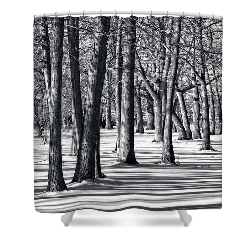 Landscape Shower Curtain featuring the photograph Nut Grove Shadows and Light Monotone by Allan Van Gasbeck