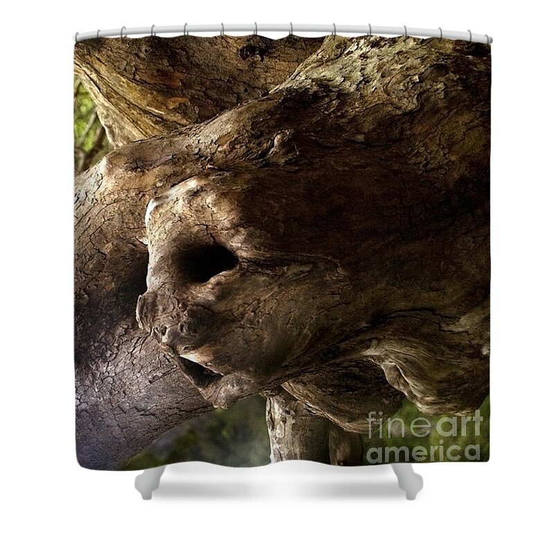 Nymph Shower Curtain featuring the photograph Nymph of the forest by Art by Magdalene