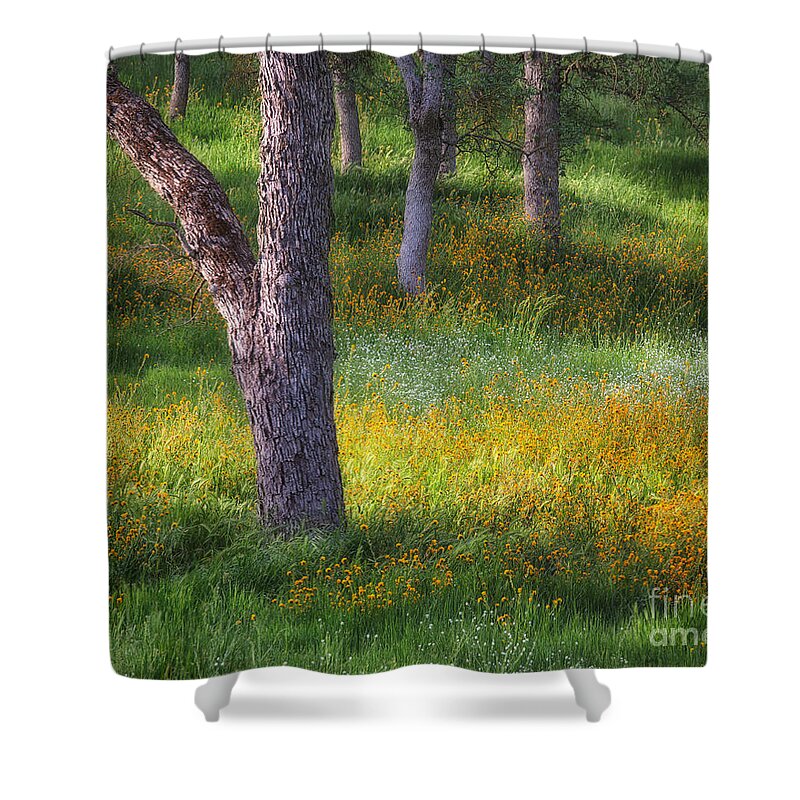 Sierra Shower Curtain featuring the photograph Oak and Wildflowers 2 by Anthony Michael Bonafede