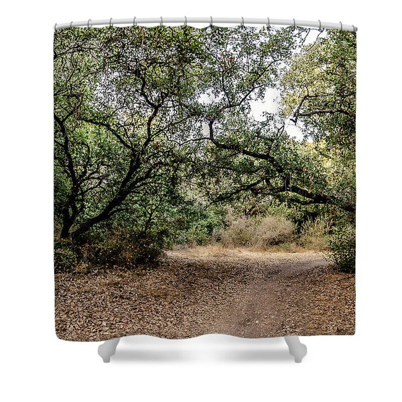 Nature Shower Curtain featuring the photograph Oak Forest Trail by Arik Baltinester