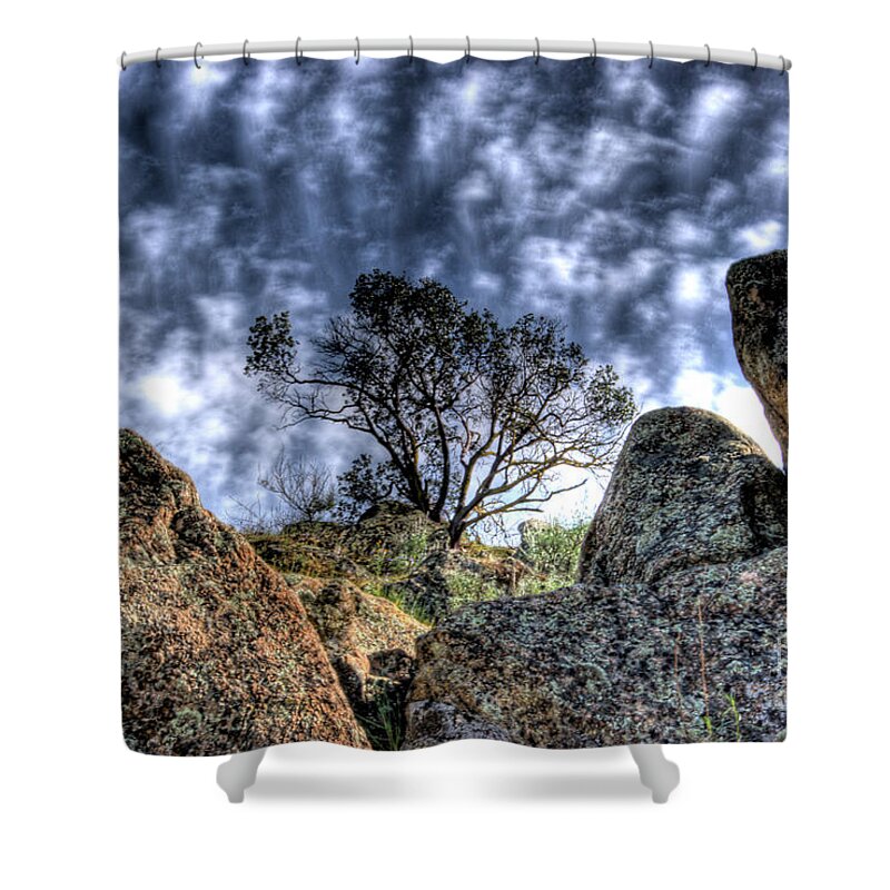 Oak Shower Curtain featuring the photograph Oak Tree by Jim And Emily Bush