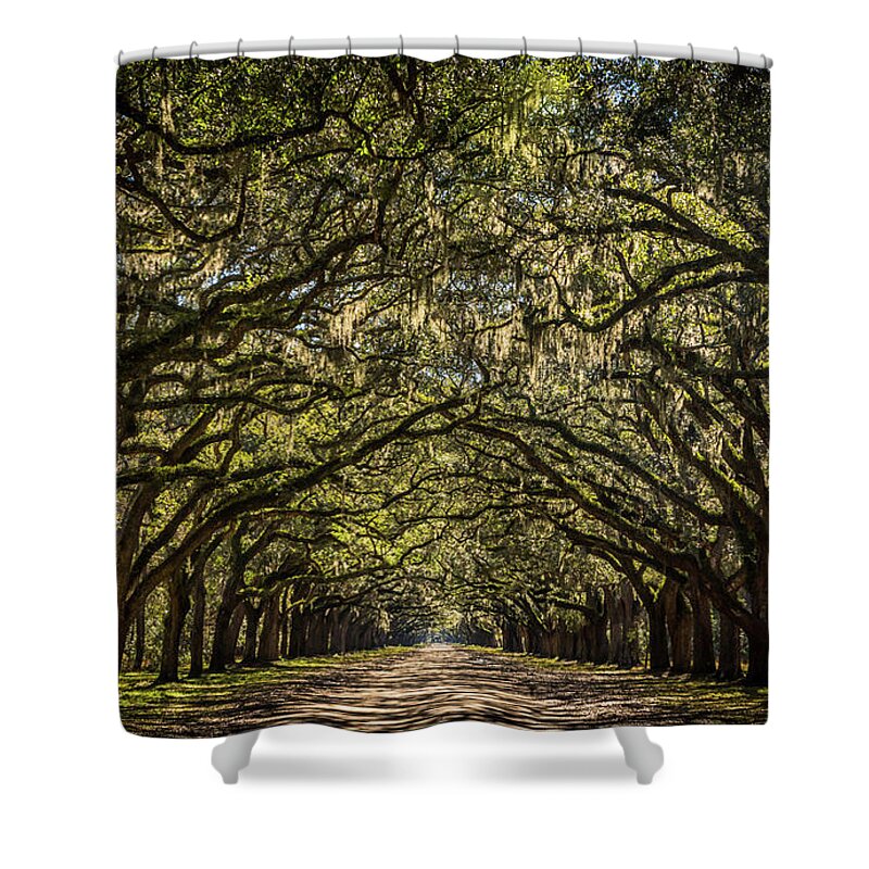 Georgia Shower Curtain featuring the photograph Oak Tree Tunnel by Framing Places