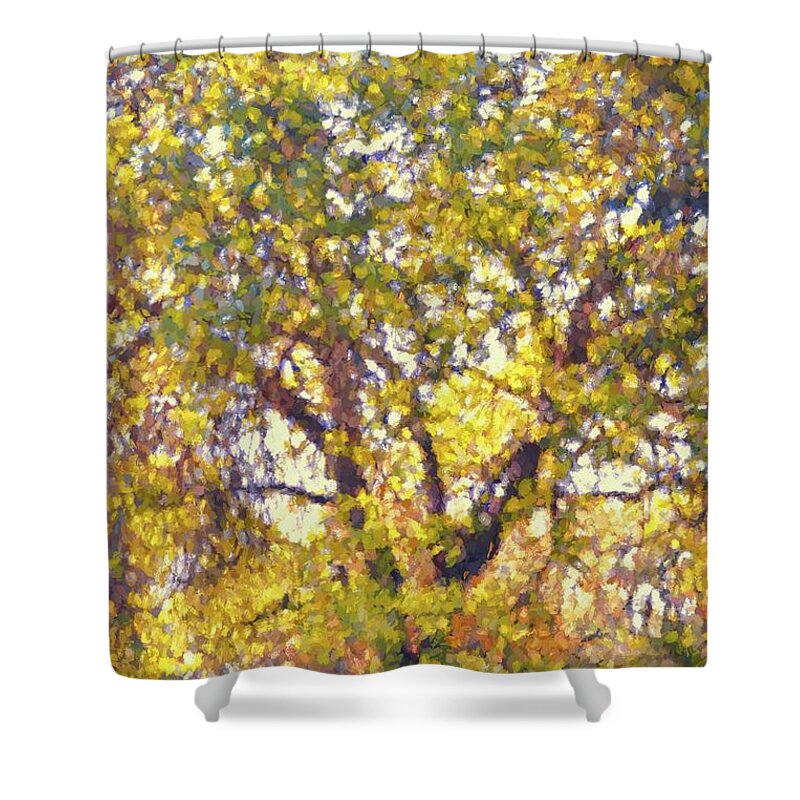 Tree Shower Curtain featuring the photograph Oaks 29 by Pamela Cooper