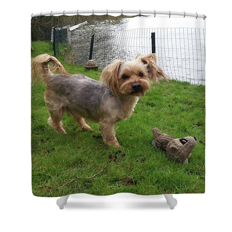 Dog Shower Curtain featuring the photograph Playing Outside by Rowena Tutty