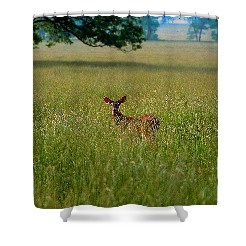 Fine Art Shower Curtain featuring the photograph Observer by Rodney Lee Williams