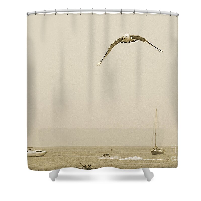 Bird Shower Curtain featuring the photograph Ocean Fun by Raymond Earley