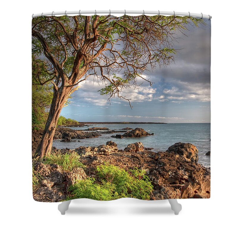 Hawaii Shower Curtain featuring the photograph Ocean Tree by Bryan Keil