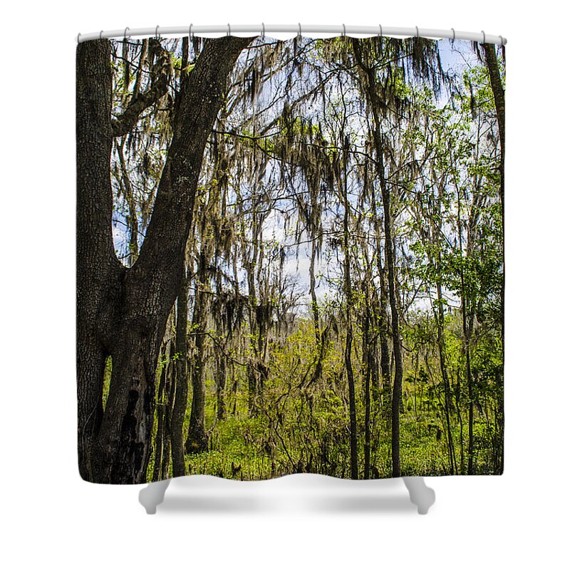 Spanish Moss Shower Curtain featuring the photograph Ocklawaha Spanish Moss in the Swamp by Deborah Smolinske