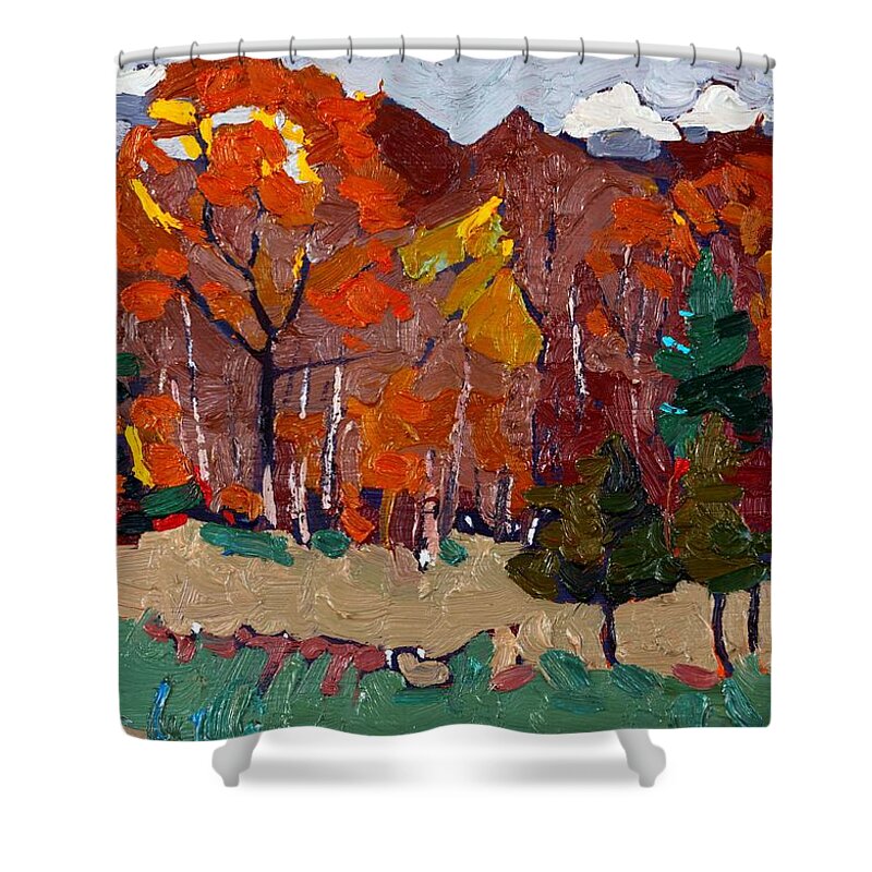 Cumulus Shower Curtain featuring the painting October Forest by Phil Chadwick