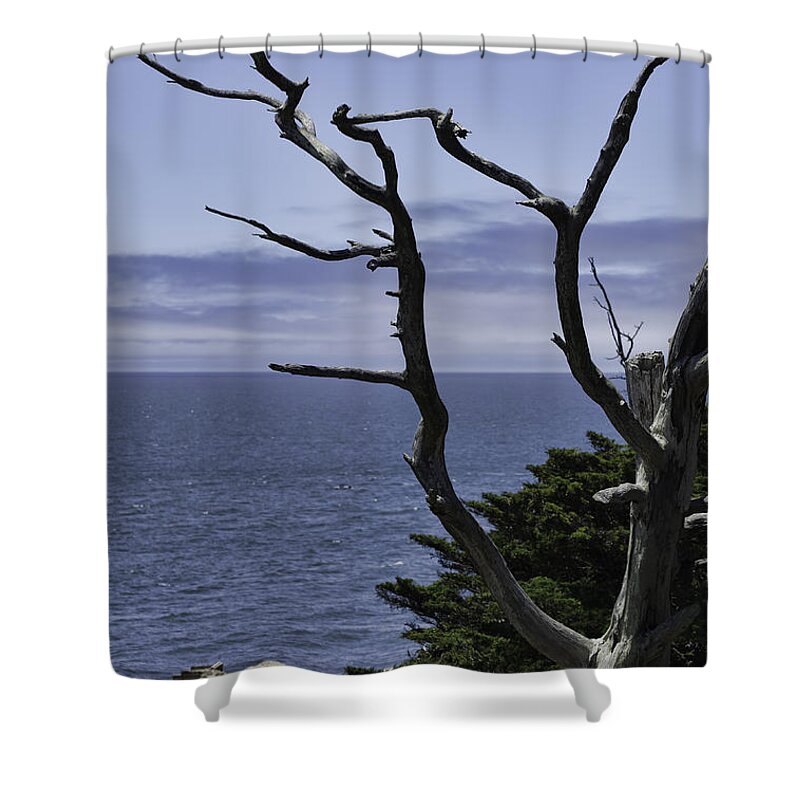 Cliff Shower Curtain featuring the photograph Off Shore by Judy Wolinsky