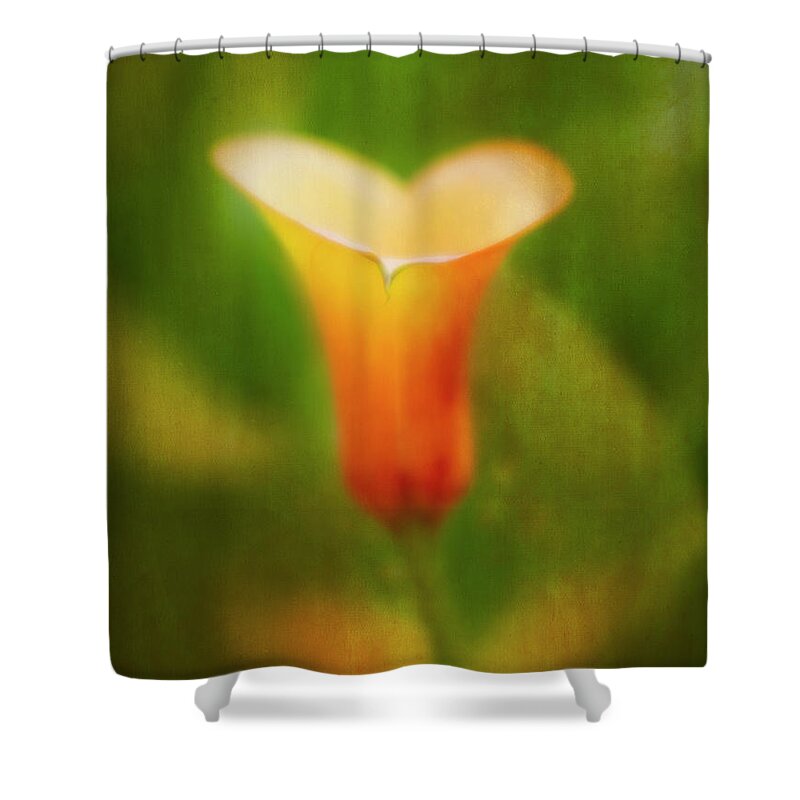 Calla Lily Shower Curtain featuring the photograph Offering. by Usha Peddamatham