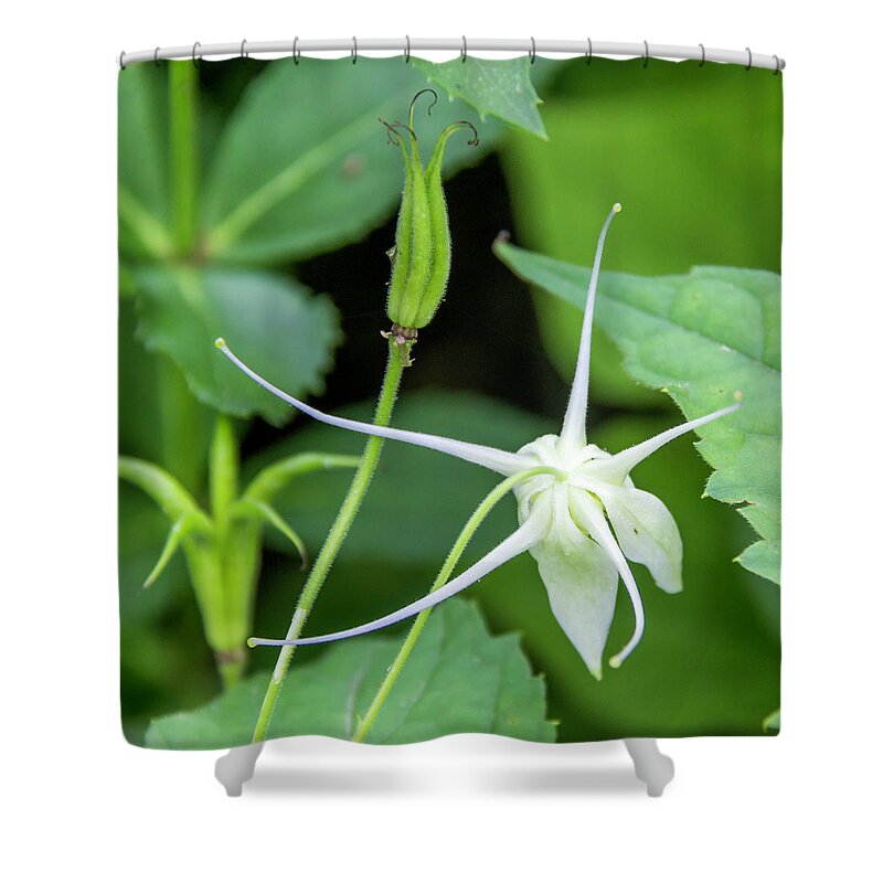 2018 Shower Curtain featuring the photograph Old and New by Teresa Mucha