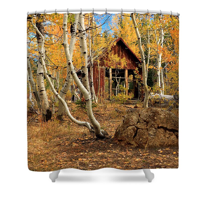 Cabin Shower Curtain featuring the photograph Old Cabin In The Aspens by James Eddy