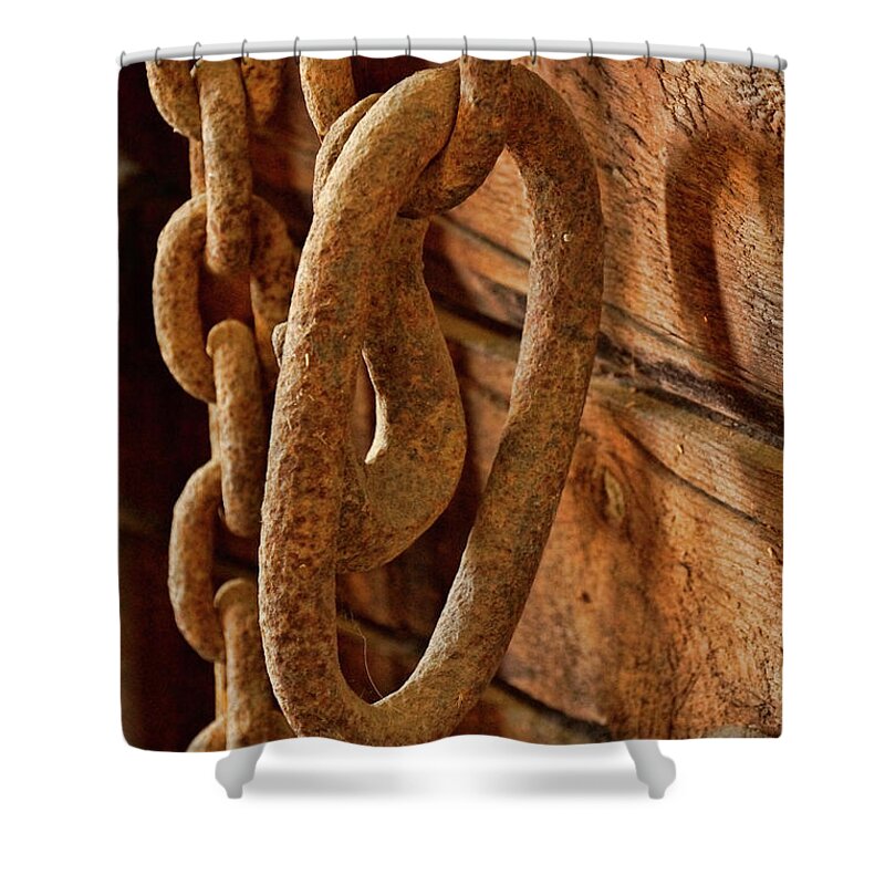 Rust Shower Curtain featuring the photograph Old Chain - 365-358 by Inge Riis McDonald