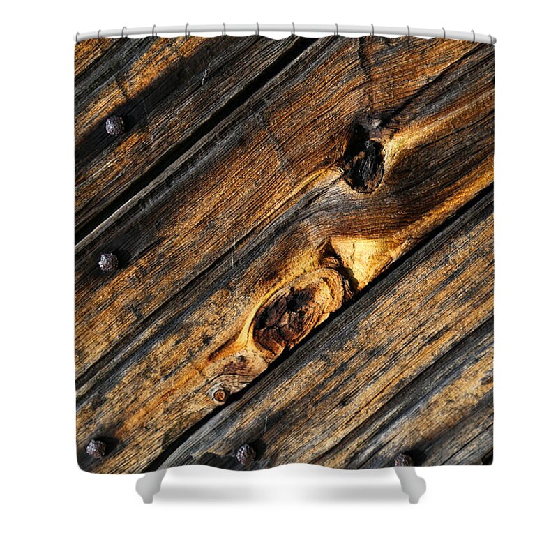 Fayette State Park Shower Curtain featuring the photograph Old Door Wood 2 by Mary Bedy
