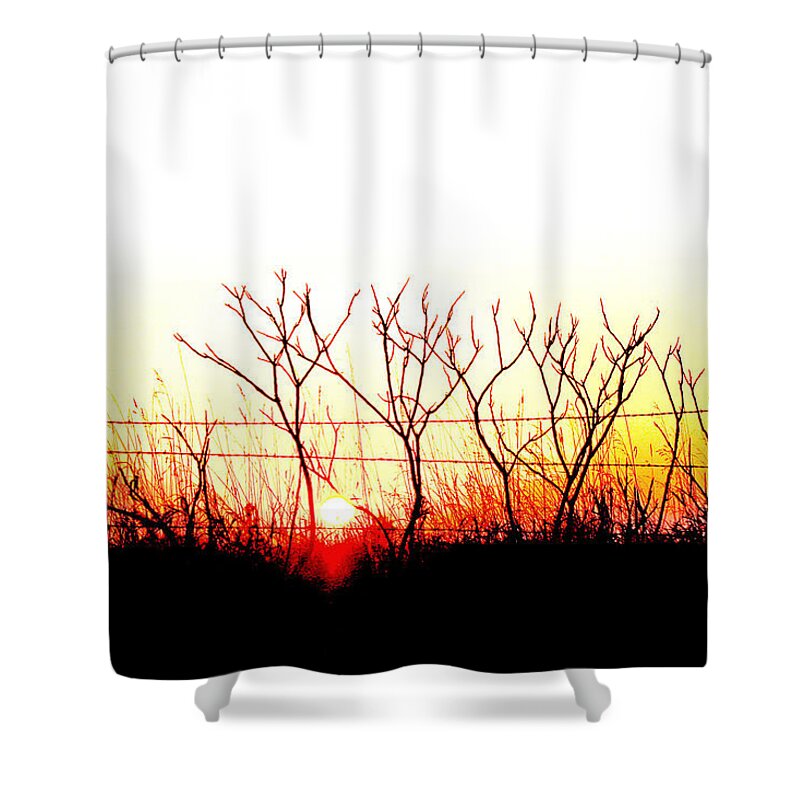 Landscape Shower Curtain featuring the photograph Old Fence by David Ralph Johnson