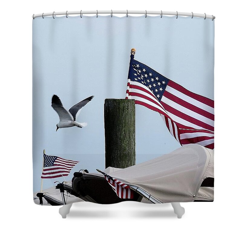 American Flag Shower Curtain featuring the photograph Old Glory and Gull by Linda Stern