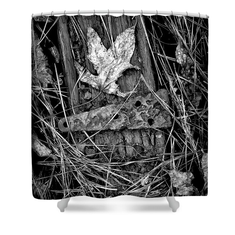 Old Shower Curtain featuring the photograph Old Hinge On Old Board by Walt Foegelle