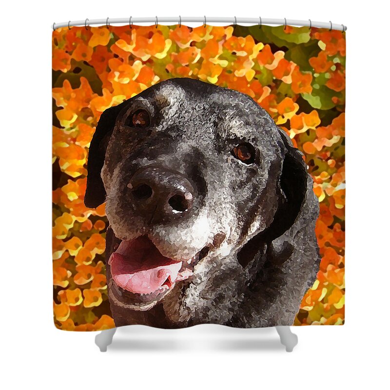 Labrador Retreiver Shower Curtain featuring the painting Old Labrador by Amy Vangsgard