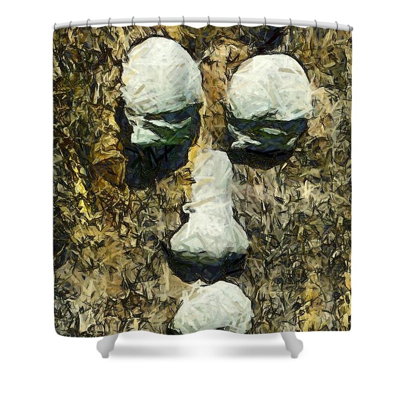 Tree Shower Curtain featuring the photograph Old Man In The Tree by Floyd Snyder