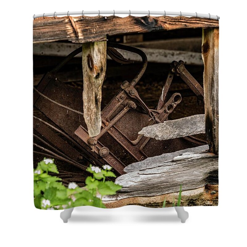  Shower Curtain featuring the photograph Old metal peeking by Pamela Taylor