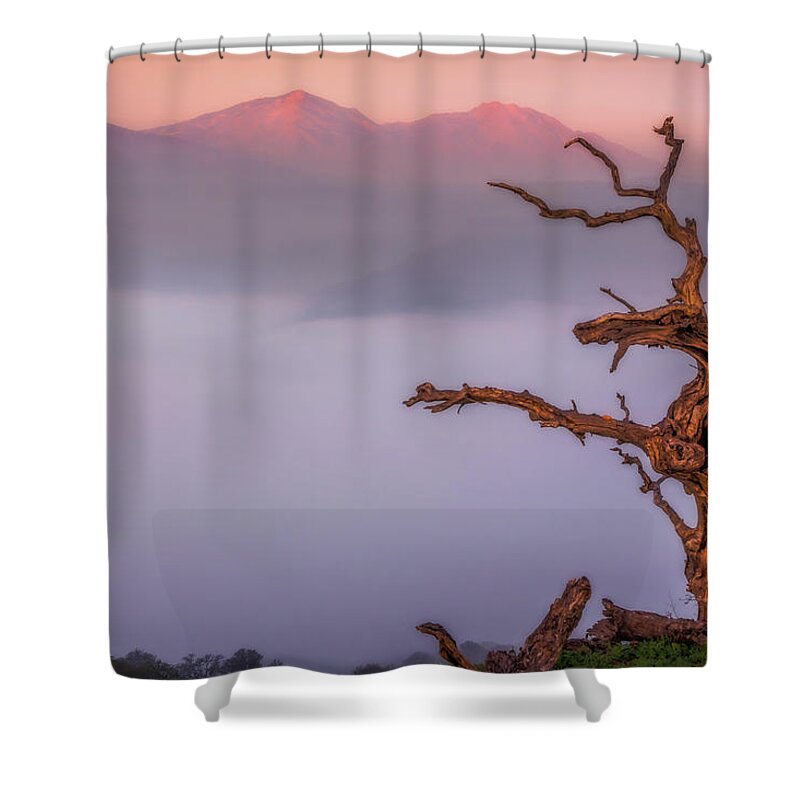 Landscape Shower Curtain featuring the photograph Old Oak and Mt. Diablo on a Foggy Morning by Marc Crumpler