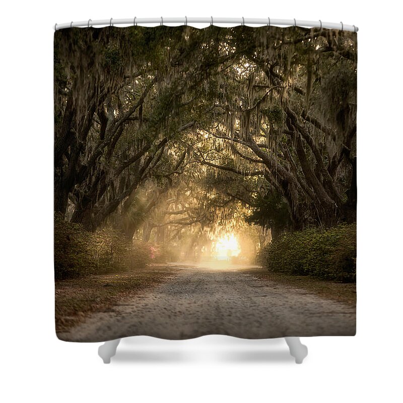 Live Oak Shower Curtain featuring the photograph Old Savannah by Matt Hammerstein