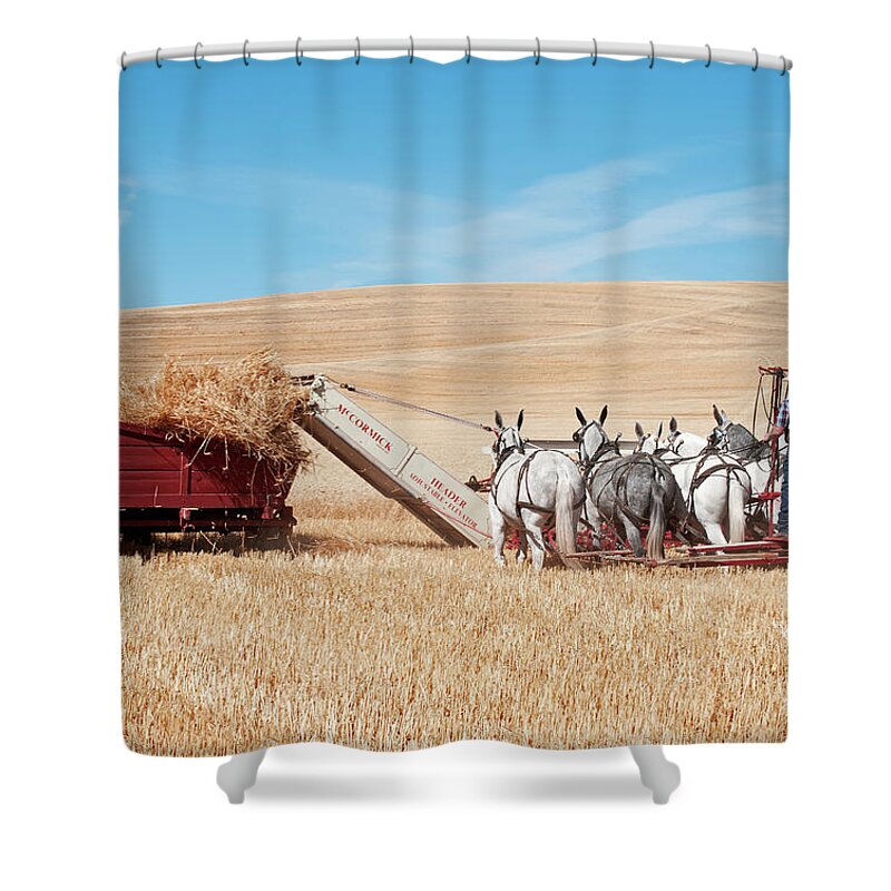 Thrashing Bee Shower Curtain featuring the photograph Old Time Harvesting by Doug Davidson