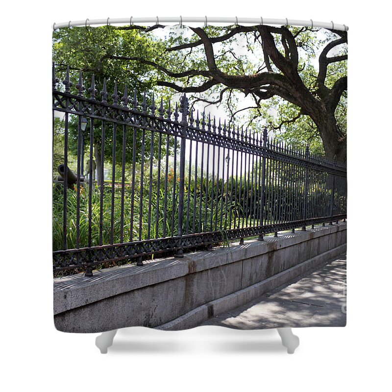 Landscape Shower Curtain featuring the photograph Old Tree and Ornate Fence by Todd Blanchard