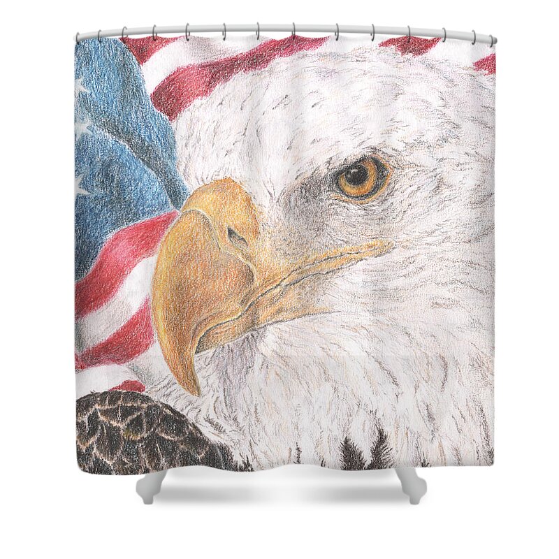 Eagle Shower Curtain featuring the drawing Old Values by Pris Hardy