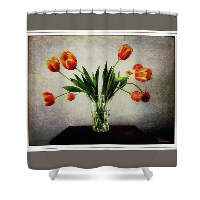 Tulips Shower Curtain featuring the photograph Old World Tulips by Peggy Dietz