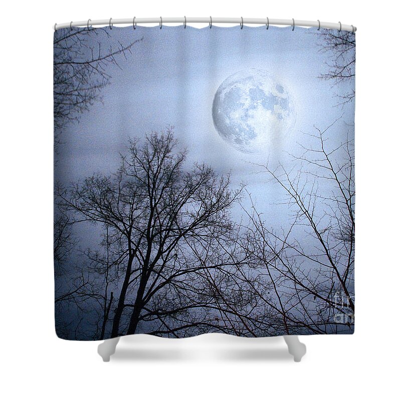 Nature Shower Curtain featuring the photograph On A Stormy Moonlit Night by Dorothy Lee