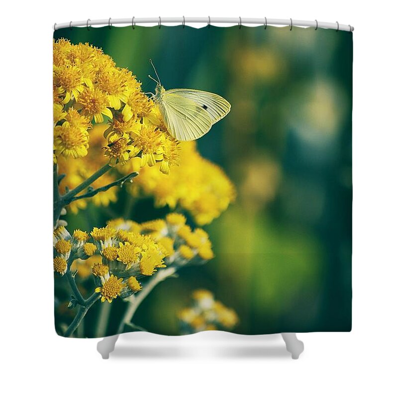 Flowers Shower Curtain featuring the photograph On A Warm Summer Day by Angie Tirado
