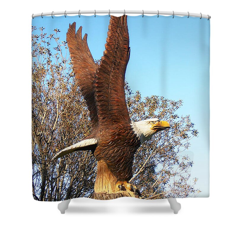 Eagle Artwork Shower Curtain featuring the photograph On Eagles Wings II by Doug Kreuger