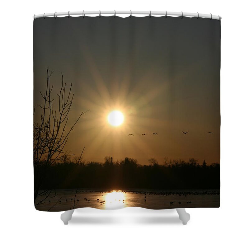 Geese Water Lake Ice Trees Nature Sunrise Sun Cold Morning Ducks Birds Shower Curtain featuring the photograph On Frozen Pond by Andrea Lawrence