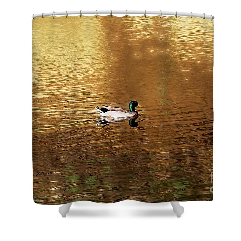 Mallard Duck Shower Curtain featuring the photograph On Golden Pond by Yumi Johnson