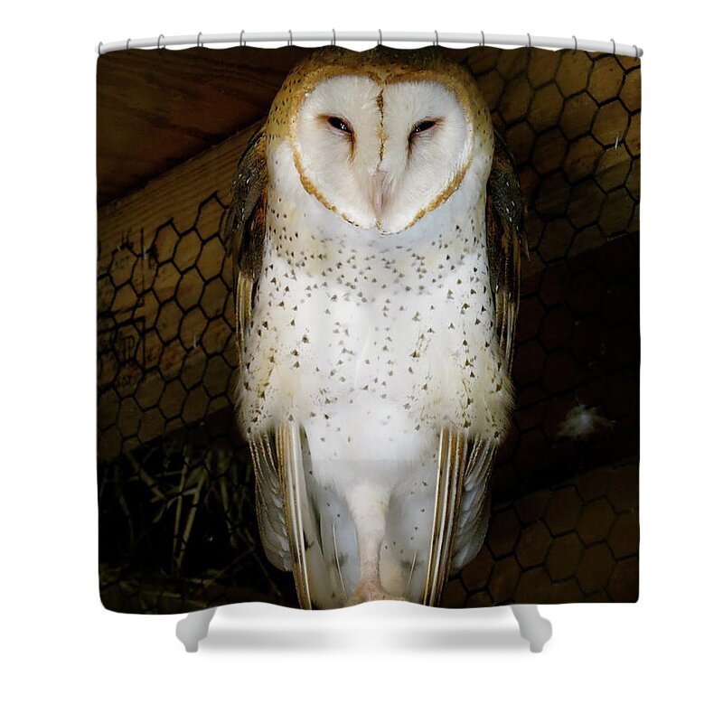 Owl Shower Curtain featuring the photograph On one leg by Azthet Photography