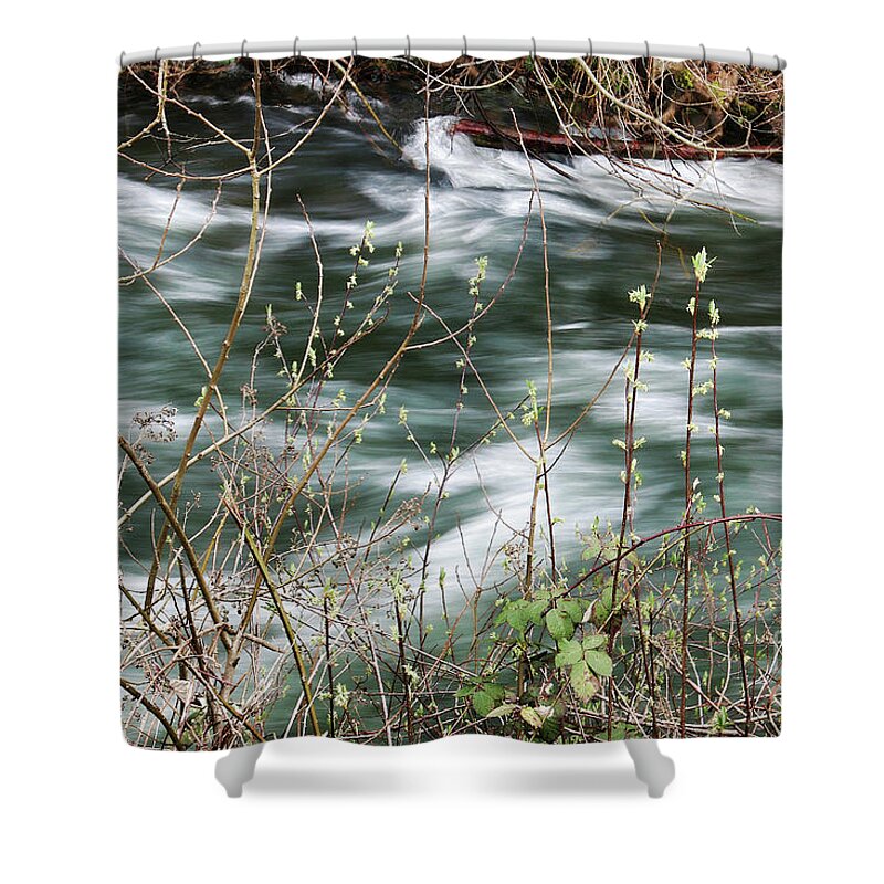 Whatcom Creek Shower Curtain featuring the photograph On the Bank of Whatcom Creek by Cheryl Rose