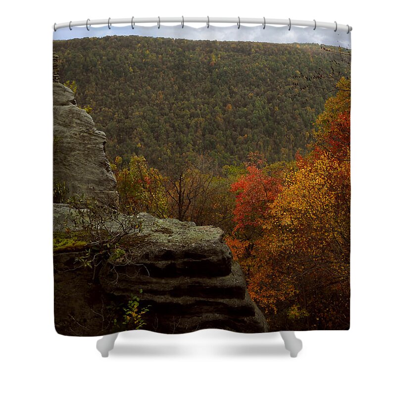 Cooper's Shower Curtain featuring the photograph On the Edge by Amanda Jones