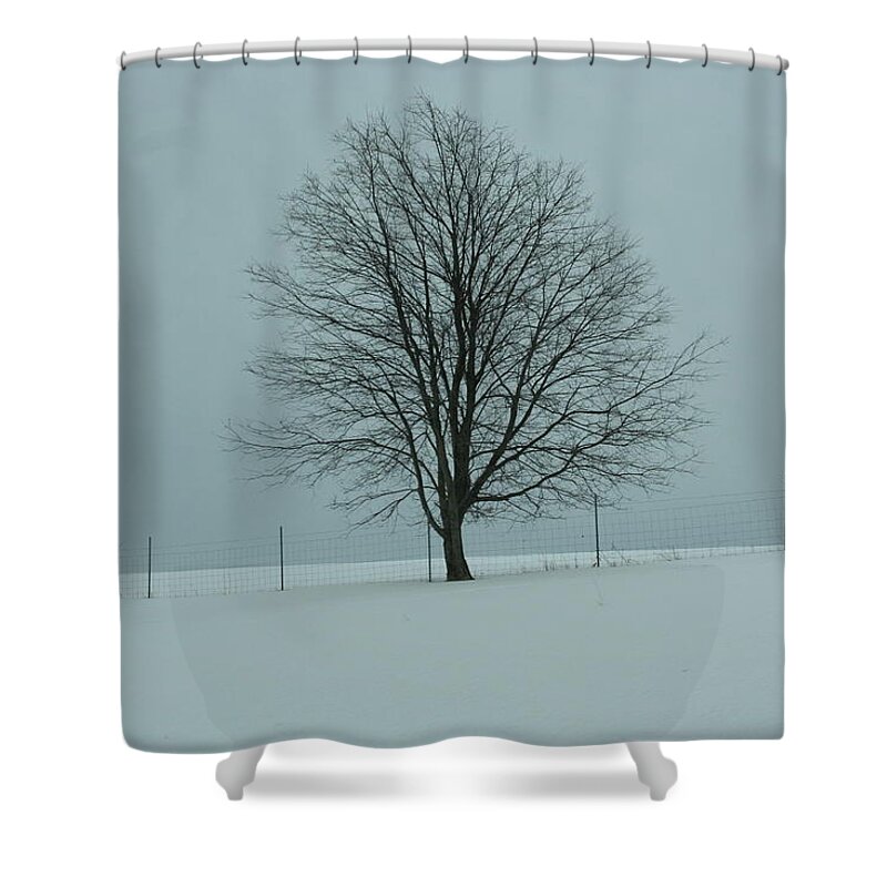Tree Shower Curtain featuring the photograph On the Edge by Magda Levin