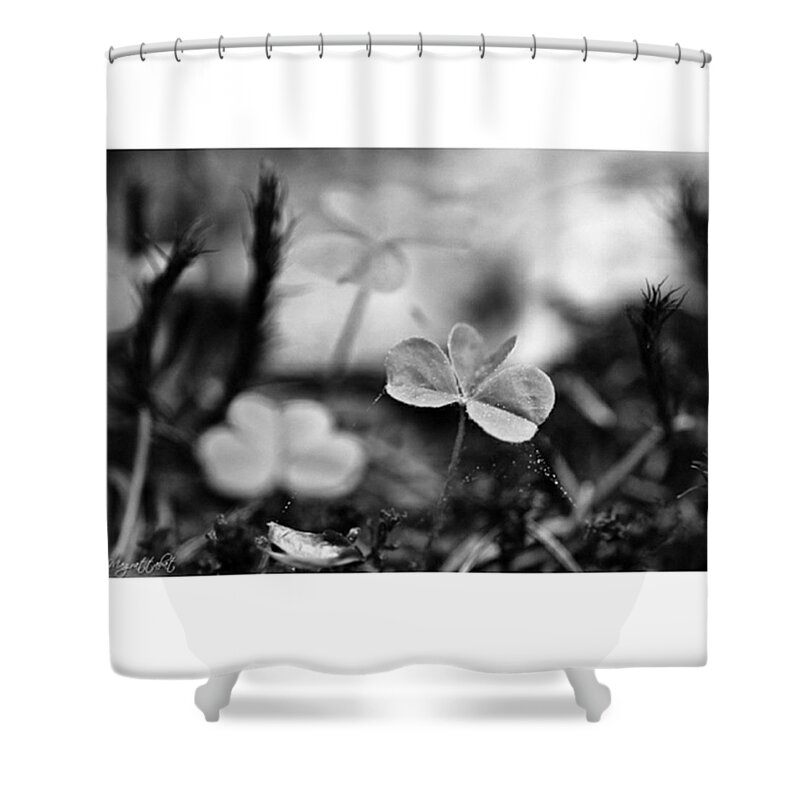 Clover Shower Curtain featuring the photograph On The Forest Floor

#monochrome by Mandy Tabatt